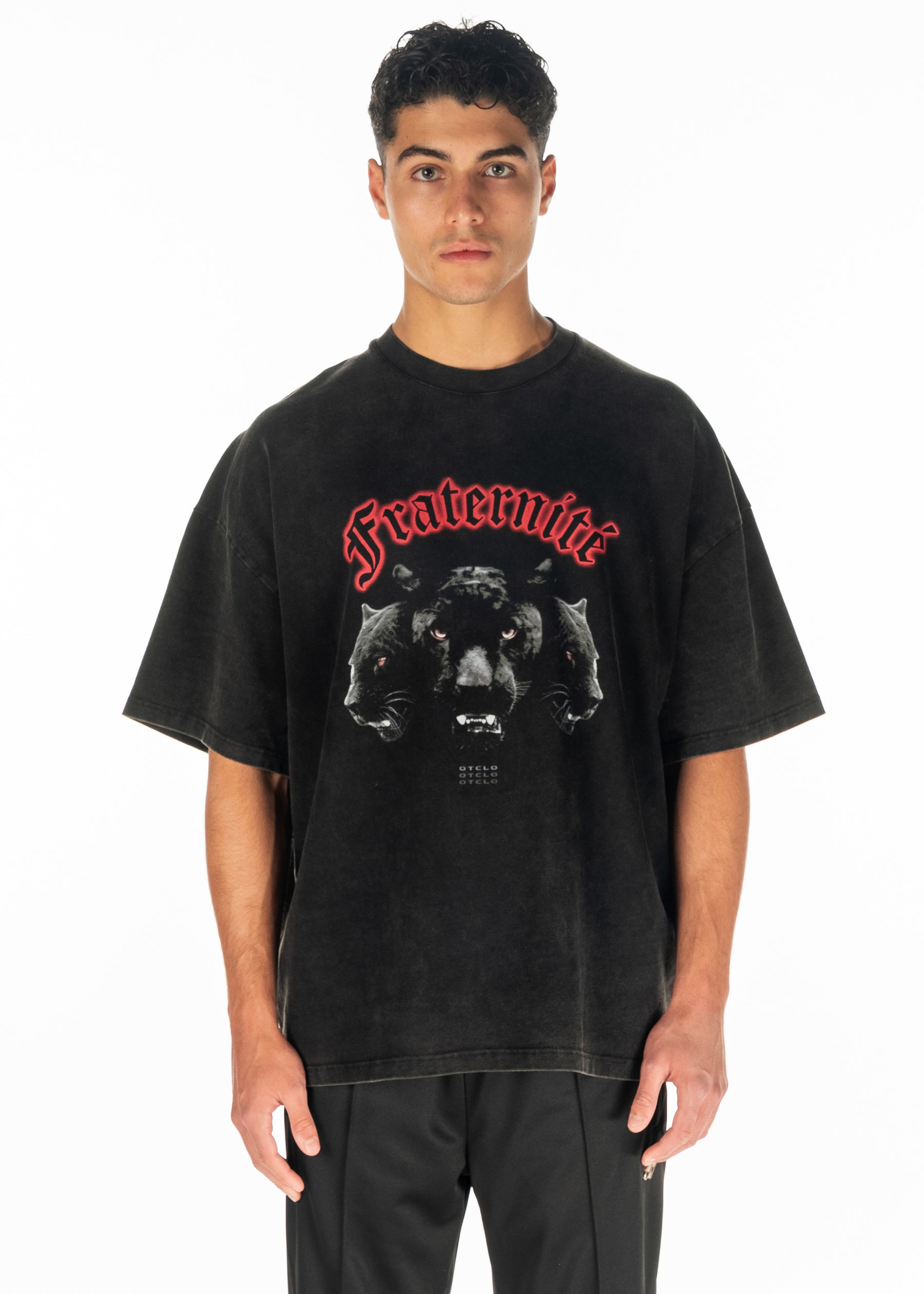 HEAVY PANTHER TEE